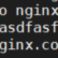 nginx_fout_config.png